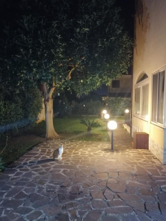 Villa Cavalluccio Marino Con Piscina Idromassaggio 카리니 외부 사진